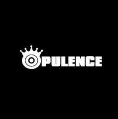 Q9 Opulence Enterprise LLC